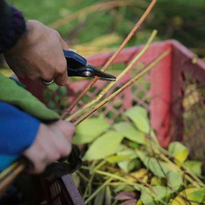 Menschen bei Gartenarbeit