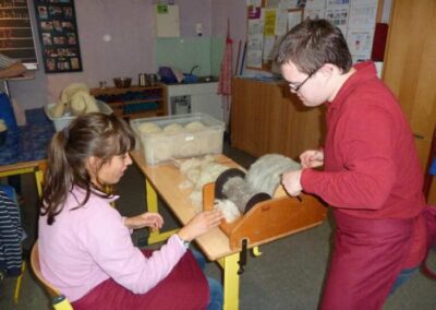 Schüler zupfen Wolle