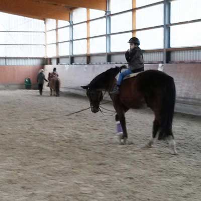 Heilpädagogisches Reiten in Reithalle