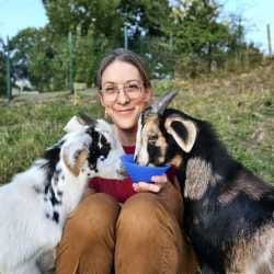 Foto von Rabea Linke