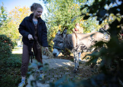 Maedchen füttert Esel im Garten