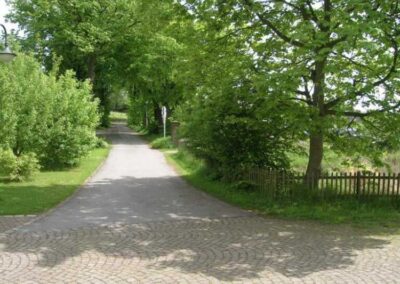 Gepflasterter Weg im Grünen